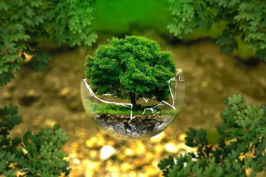 environmental-protection-gd736faf51_1280